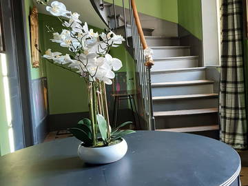 Homestay Melun 354426-8