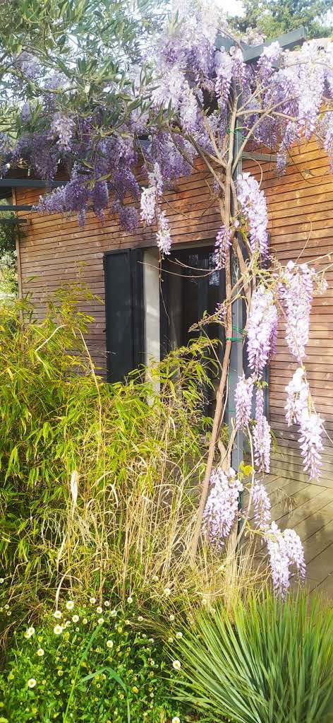 Homestay Nîmes 262067