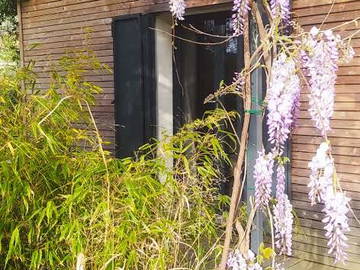 Homestay Nîmes 262067-3