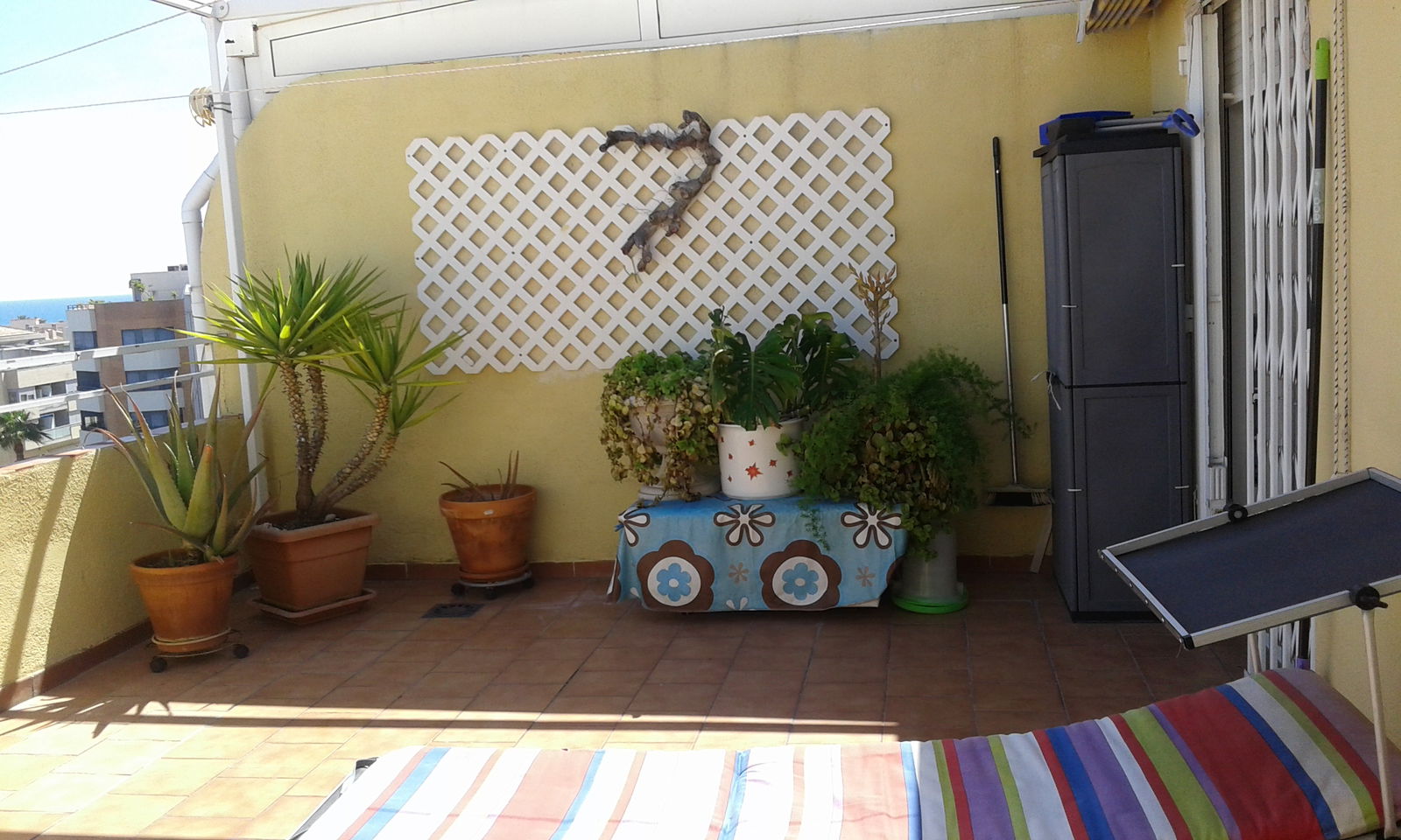 Tutta La Casa Benicarló 167727