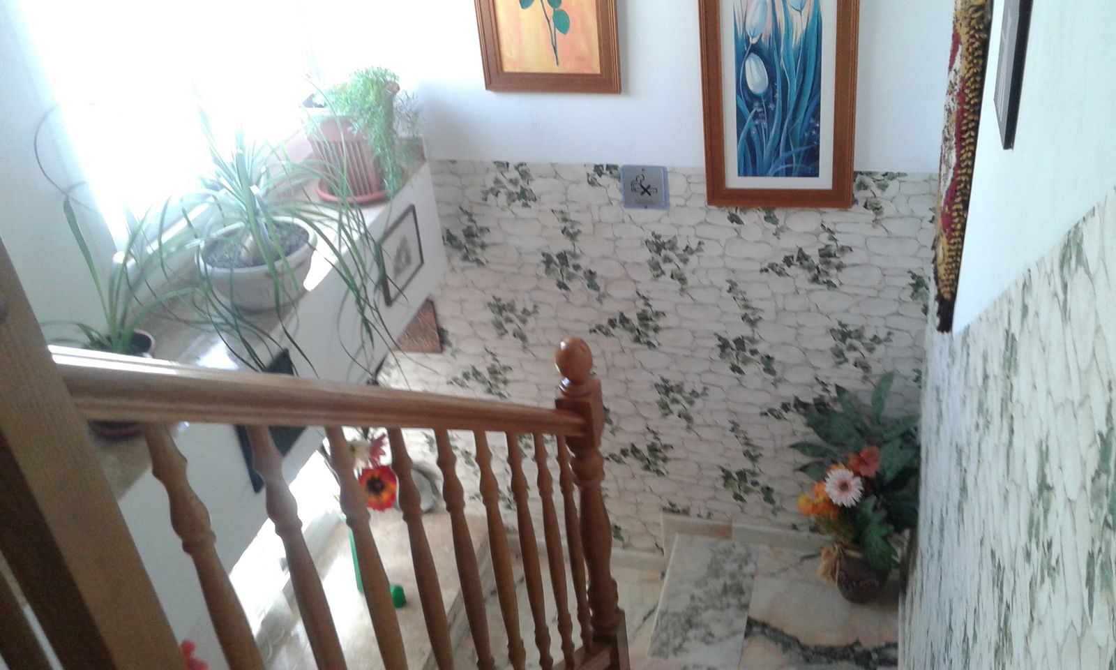 Tutta La Casa Benicarló 167727