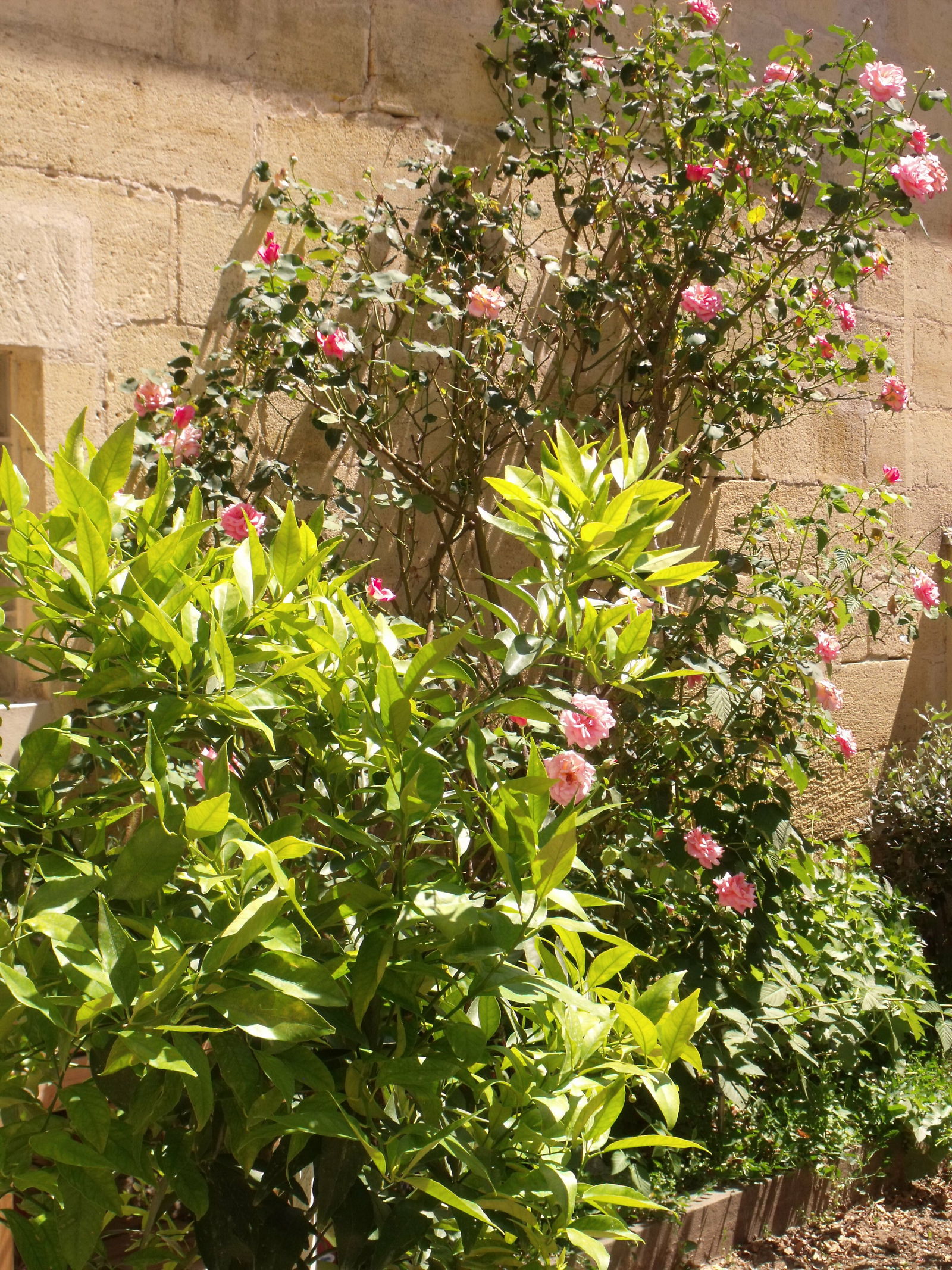 Tuisverblyf Castillon-la-Bataille 250047