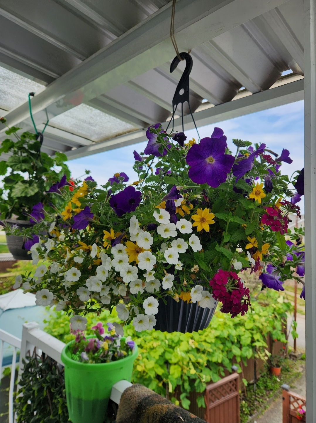 Tuisverblyf Burnaby 658584