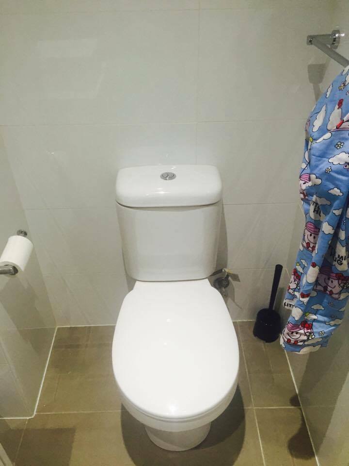 Kolokasie Rhodes 157135