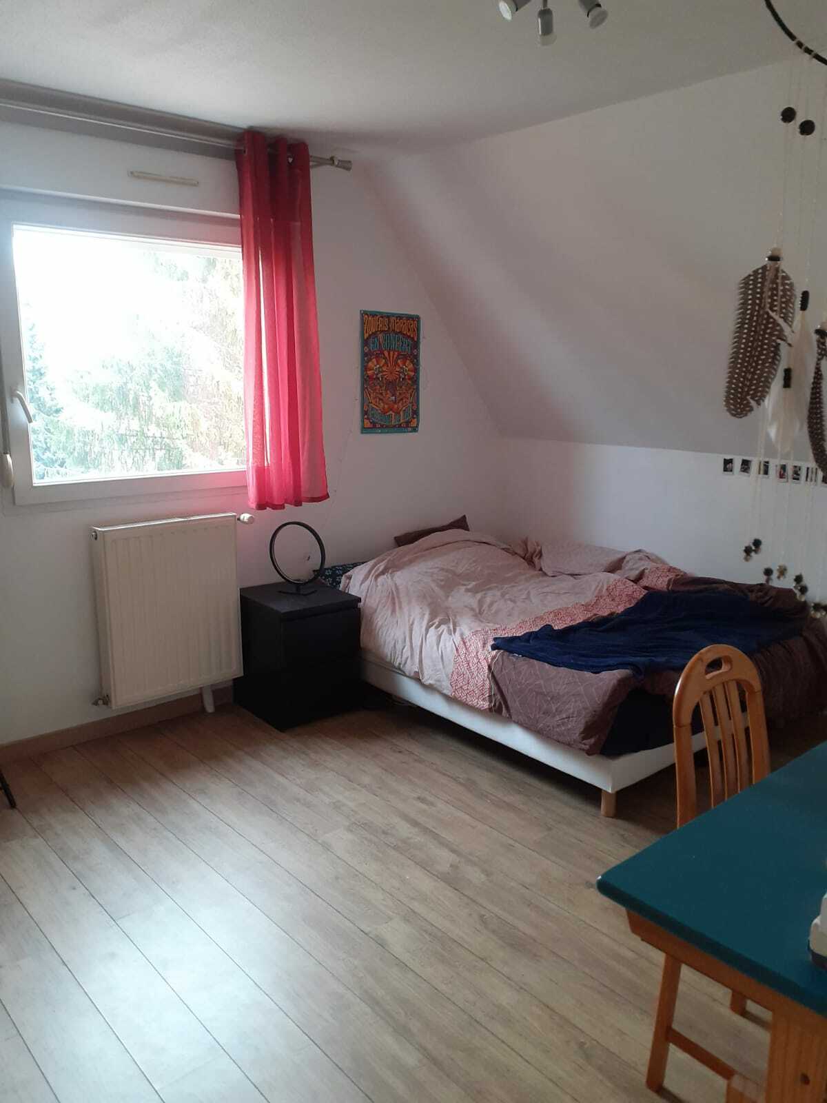 Colocation Strasbourg 246415