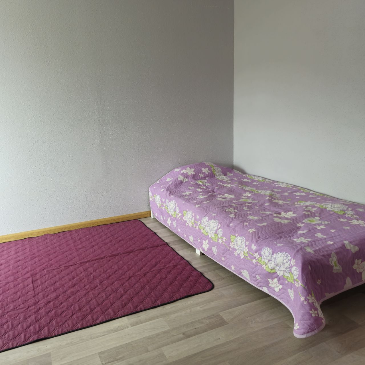 Homestay Mulhouse 371503