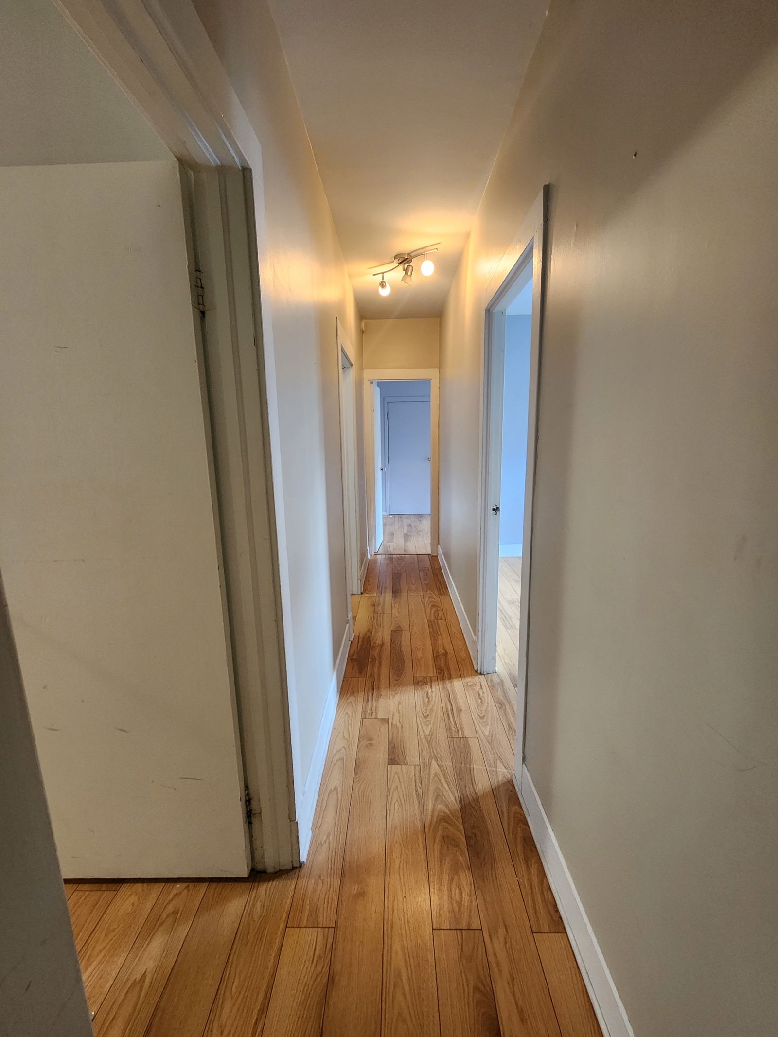 Coliving Lévis 614318