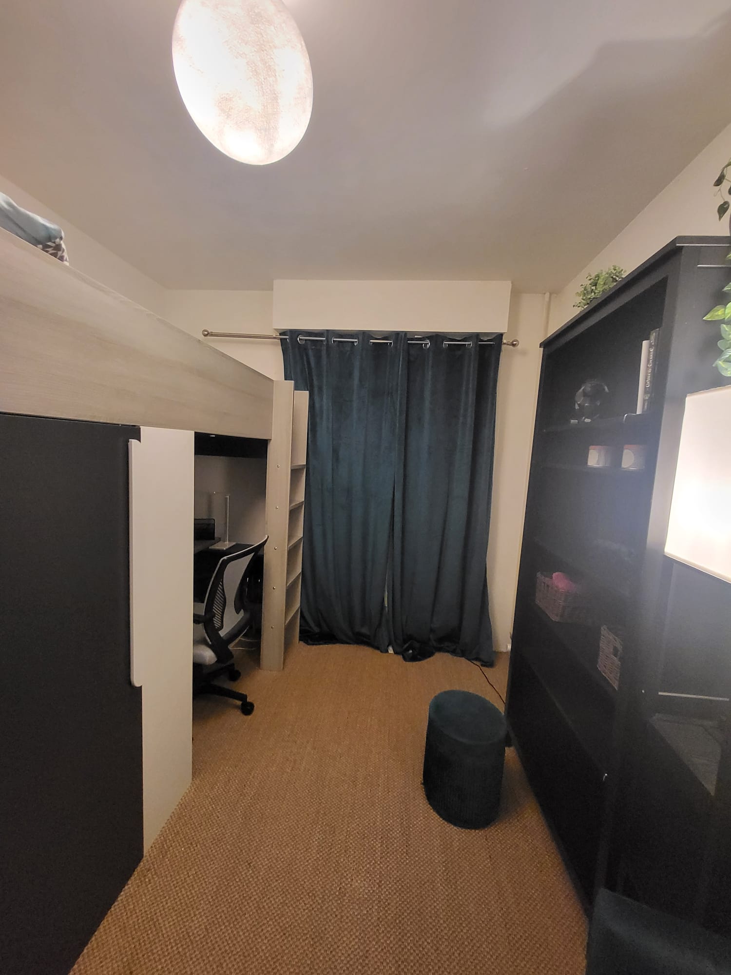 Colocation Les Ulis 252980