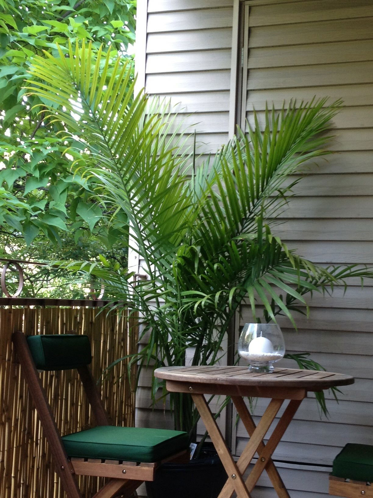 Hjemmeophold Montréal 64296