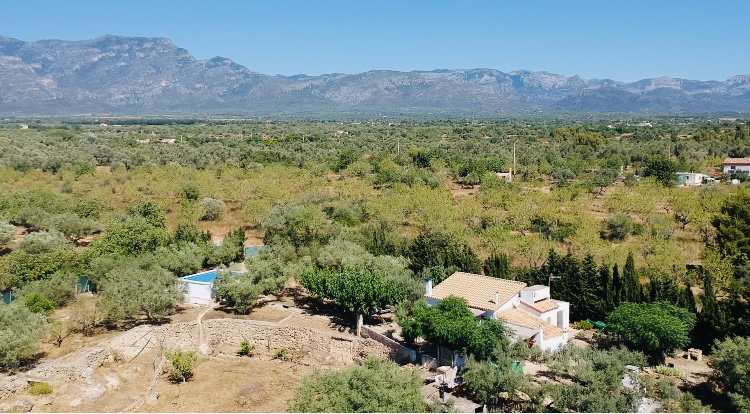 Homestay Tortosa 662819