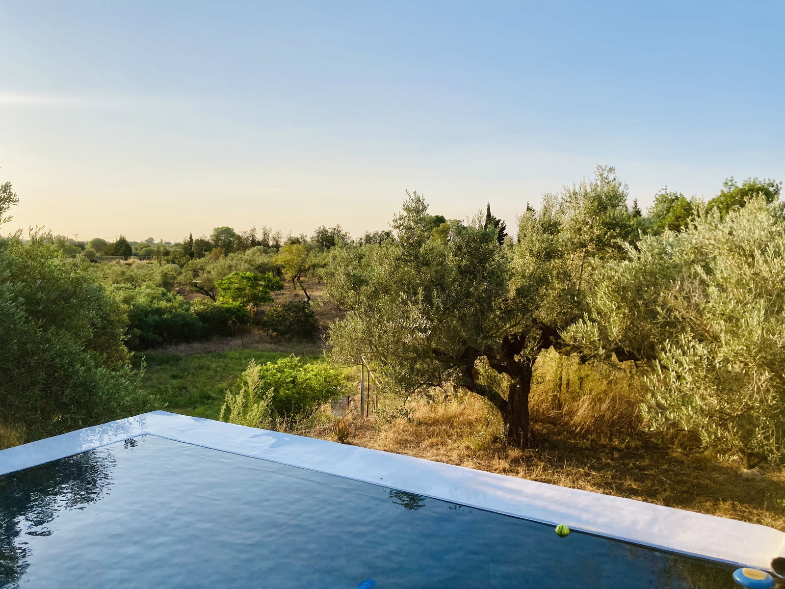 Homestay Tortosa 662819