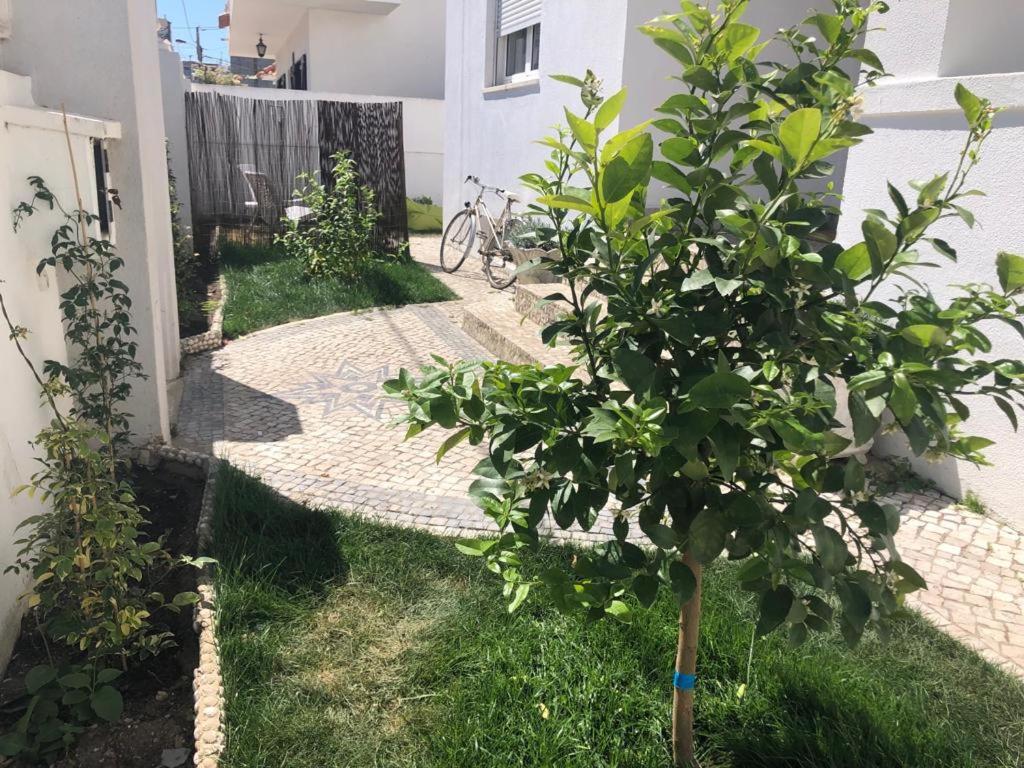 Homestay Costa de Caparica 670359
