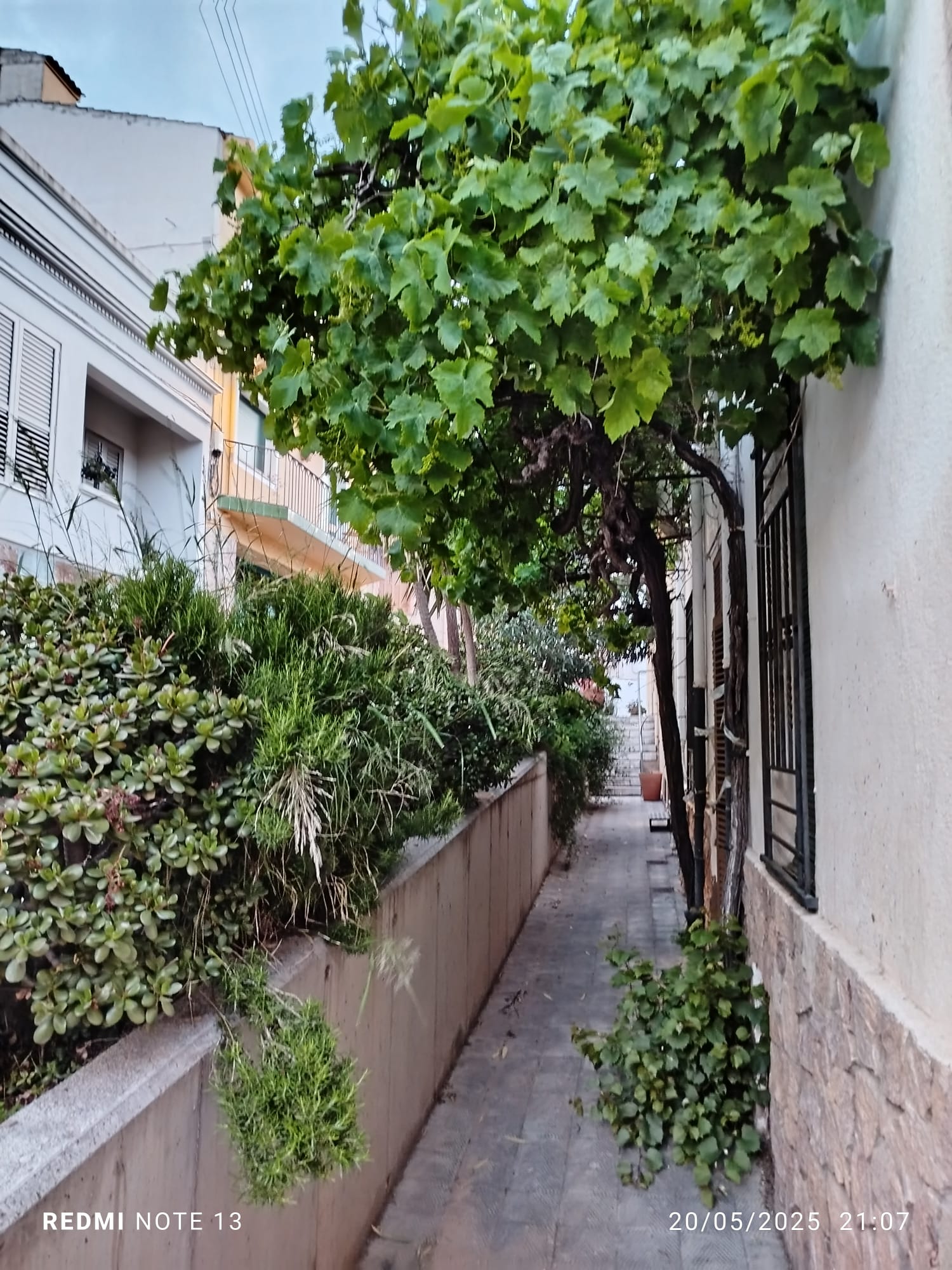 Homestay Portbou 663056