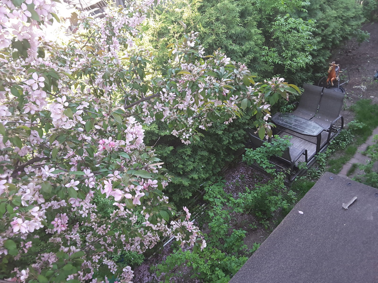 Homestay Montréal 142578