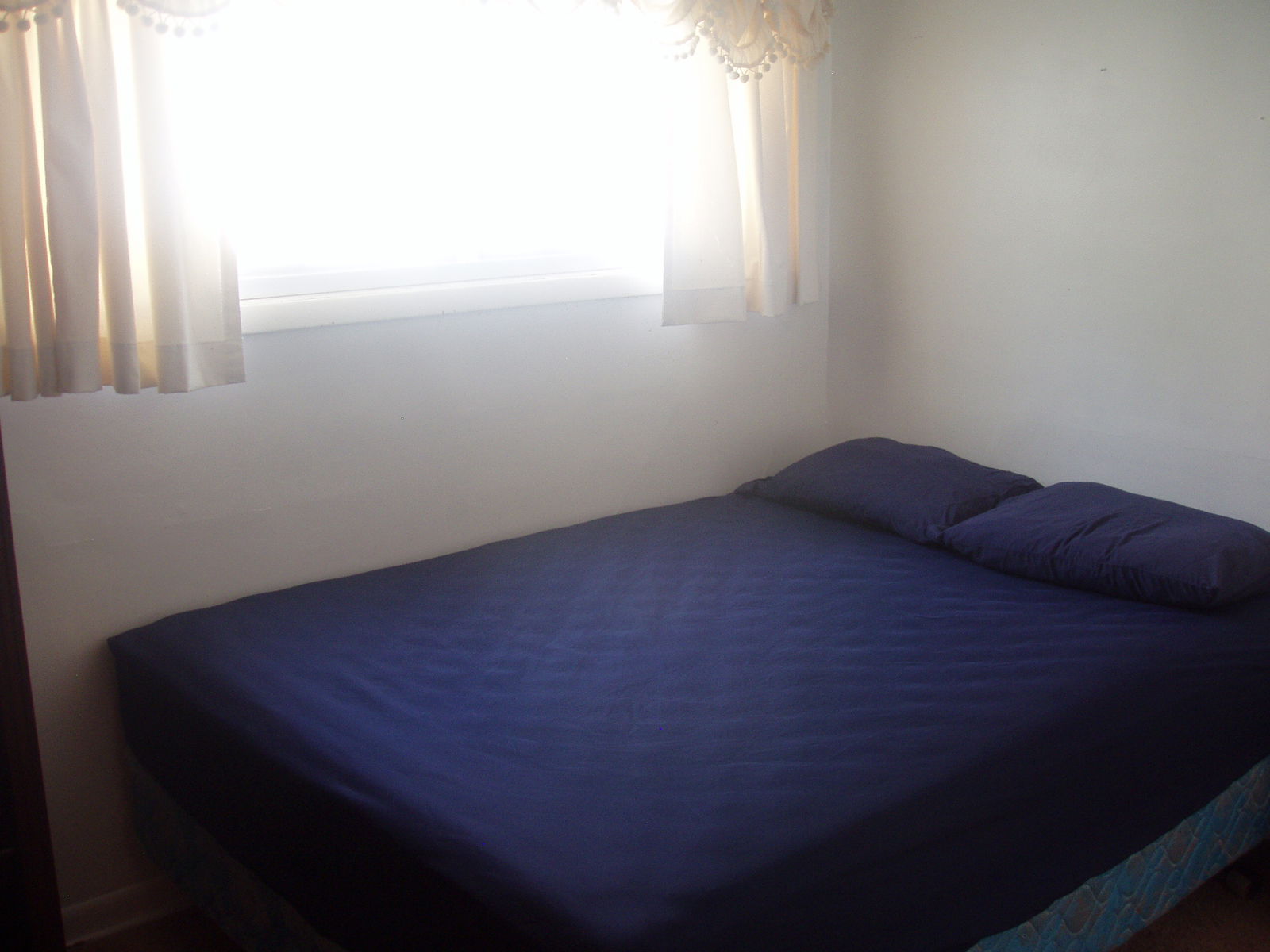 Homestay Buffalo 163777