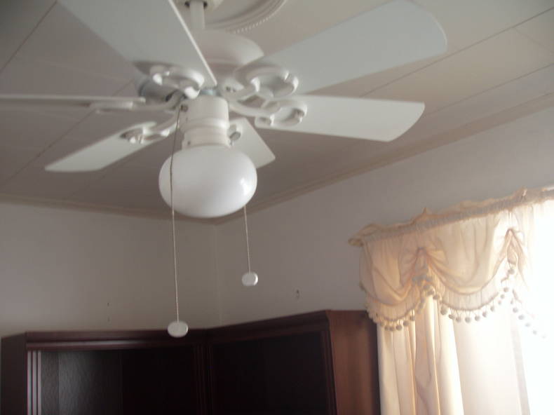 Homestay Buffalo 163777-2