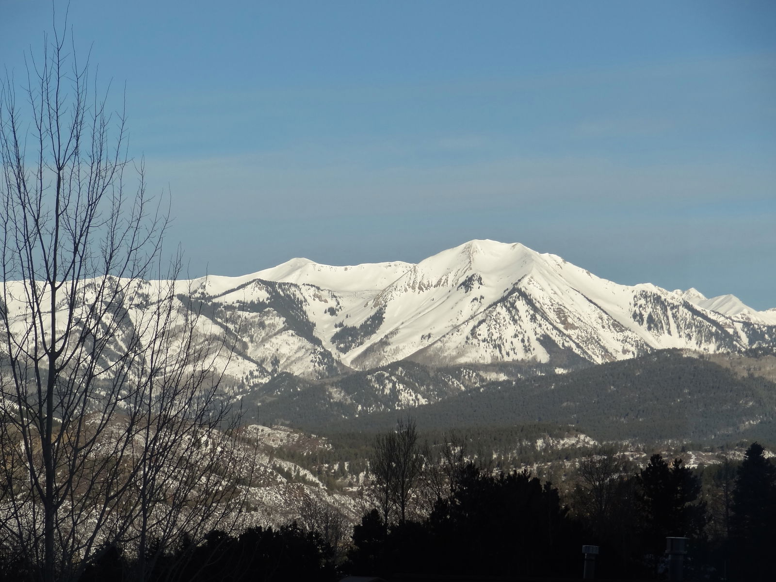 Homestay Durango 221334