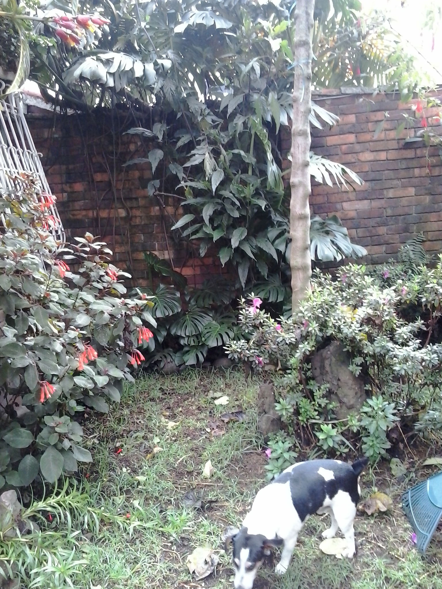 Bed And Breakfast Bogotá 95154