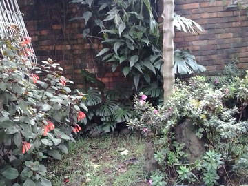 Chambre D'hôte Bogotá 95154-5