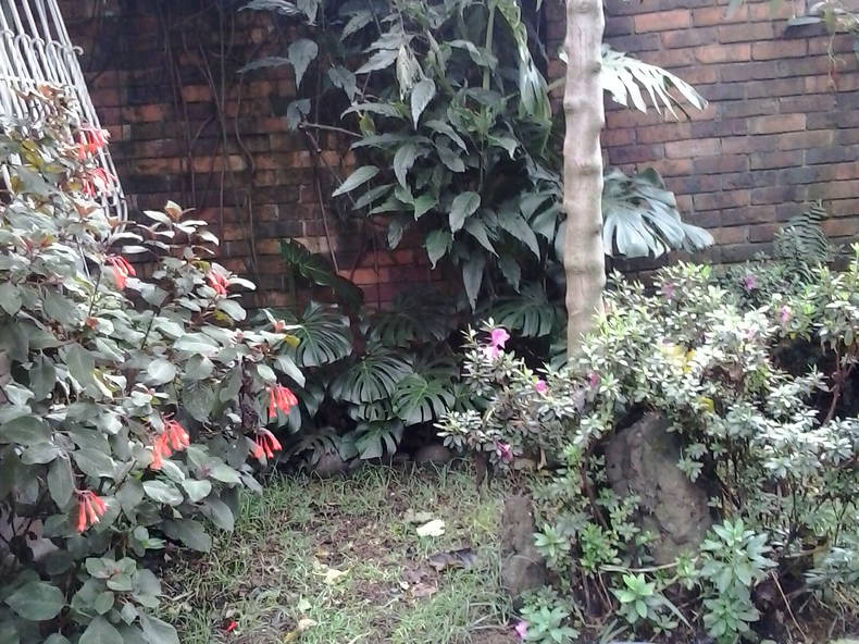 Chambres D'hôtes Bogotá 95154-5