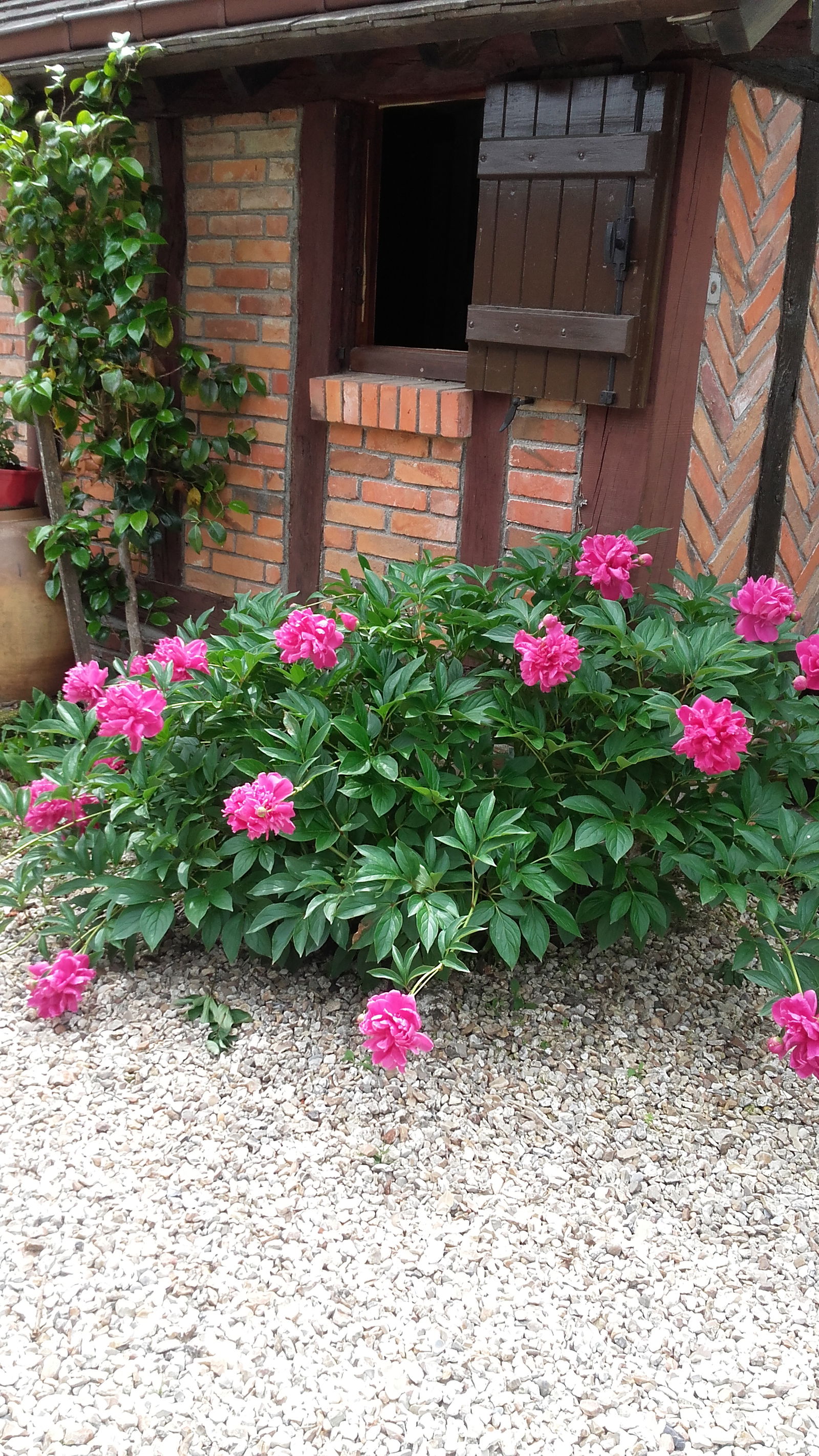 Gastfamilie Brinon-sur-Sauldre 69720