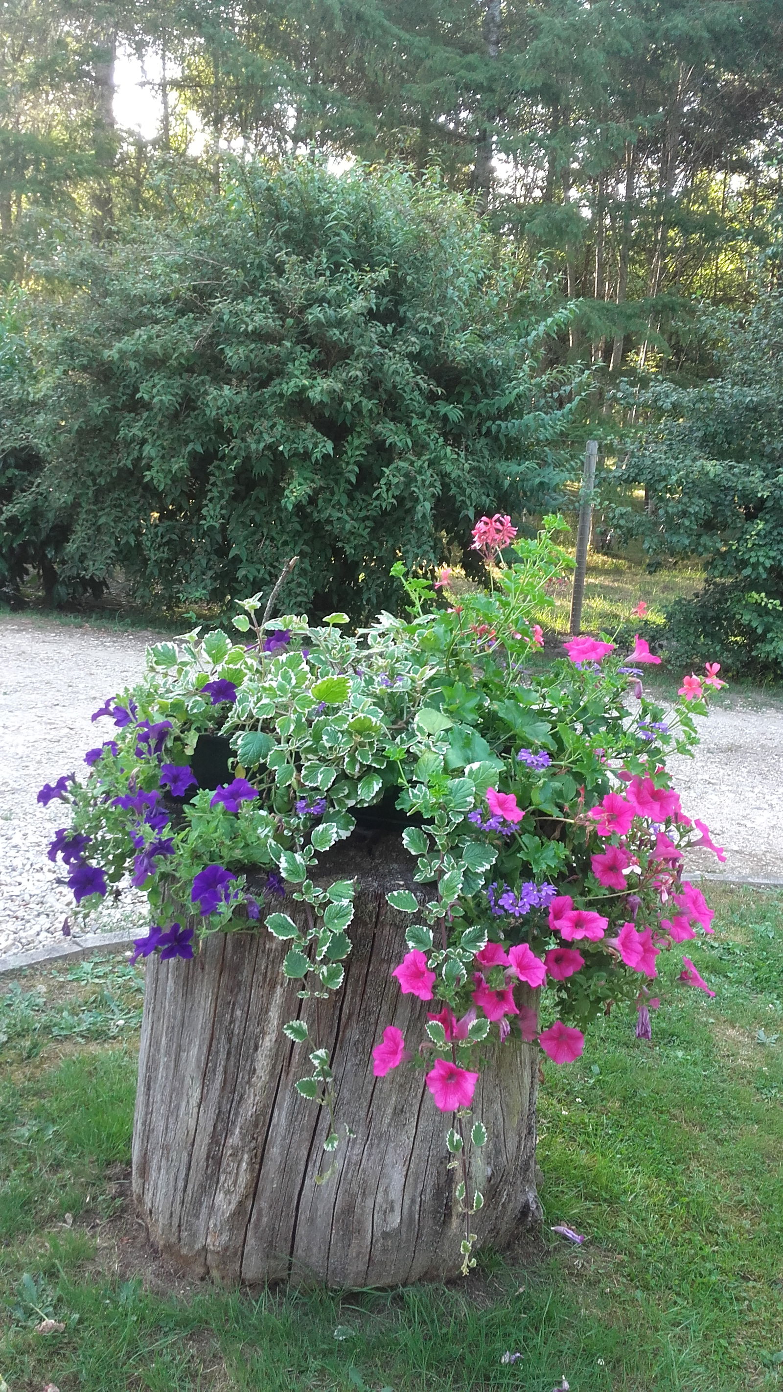 Homestay Brinon-sur-Sauldre 69720