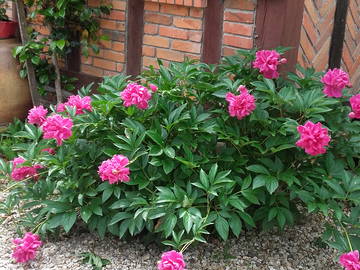 Chambre Chez L'habitant Brinon-Sur-Sauldre 69720-16