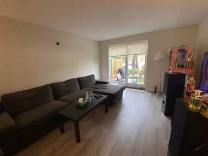 Homestay Oshawa 660011-2