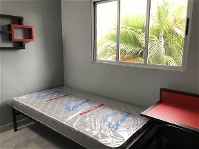 Private Möblierte Zimmer Zu Vermieten In San Jose, Costa Rica