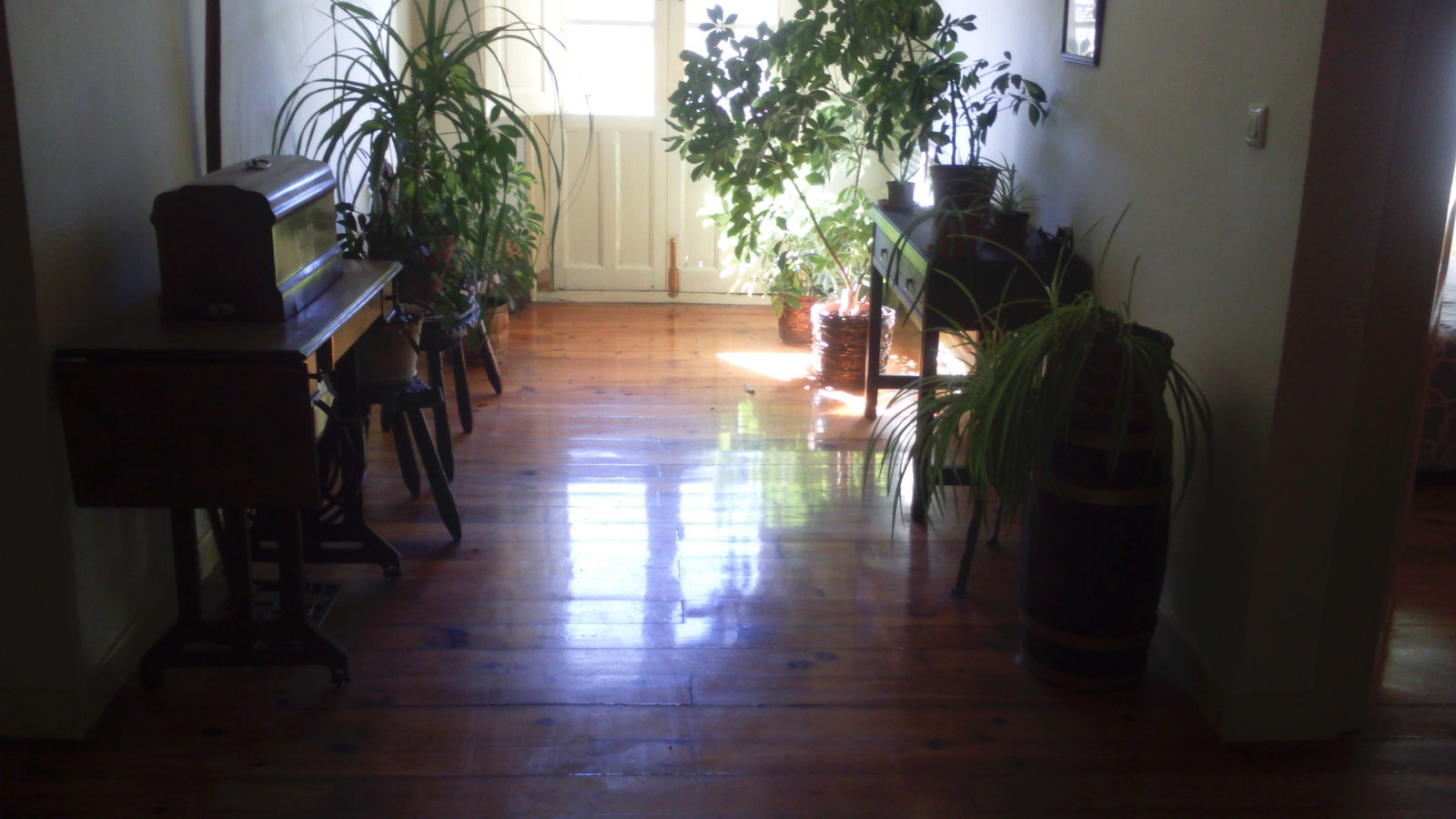 Homestay Hontoria del Pinar 184810