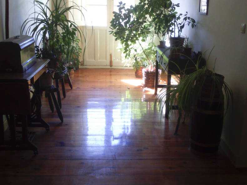 Gastfamilie Hontoria del Pinar 184810-2