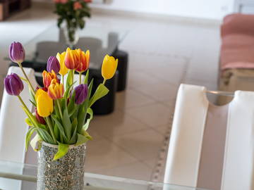 Logement Entier Évenos 191088-6