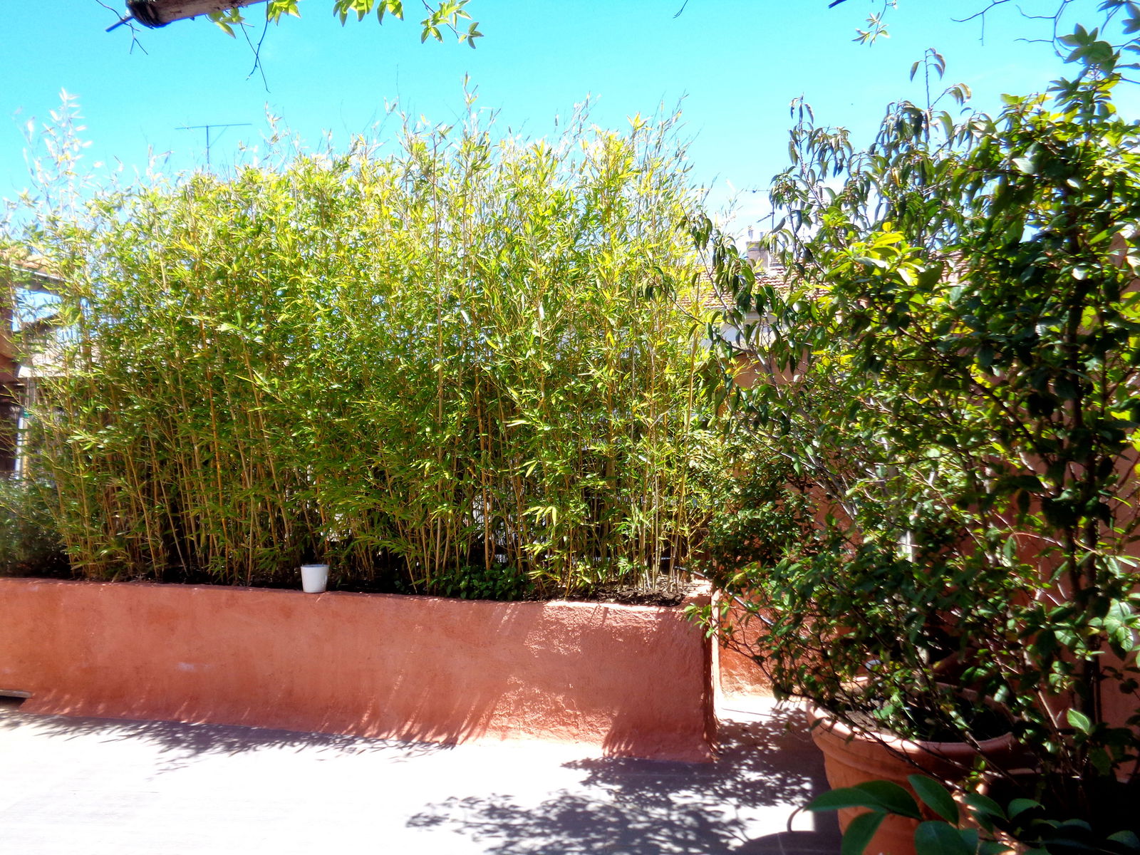 Colocation Cavaillon 110093