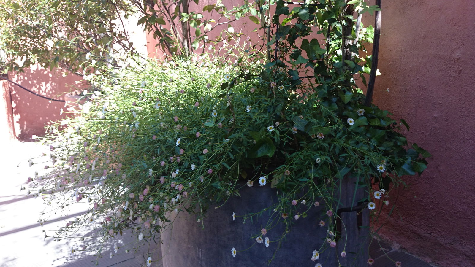 Colocation Cavaillon 110093