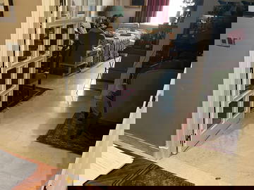 Logement Entier Sevilla 262422-4