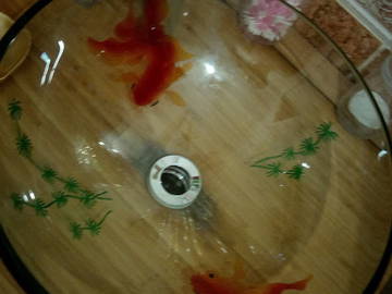 Homestay Évry 118519-5