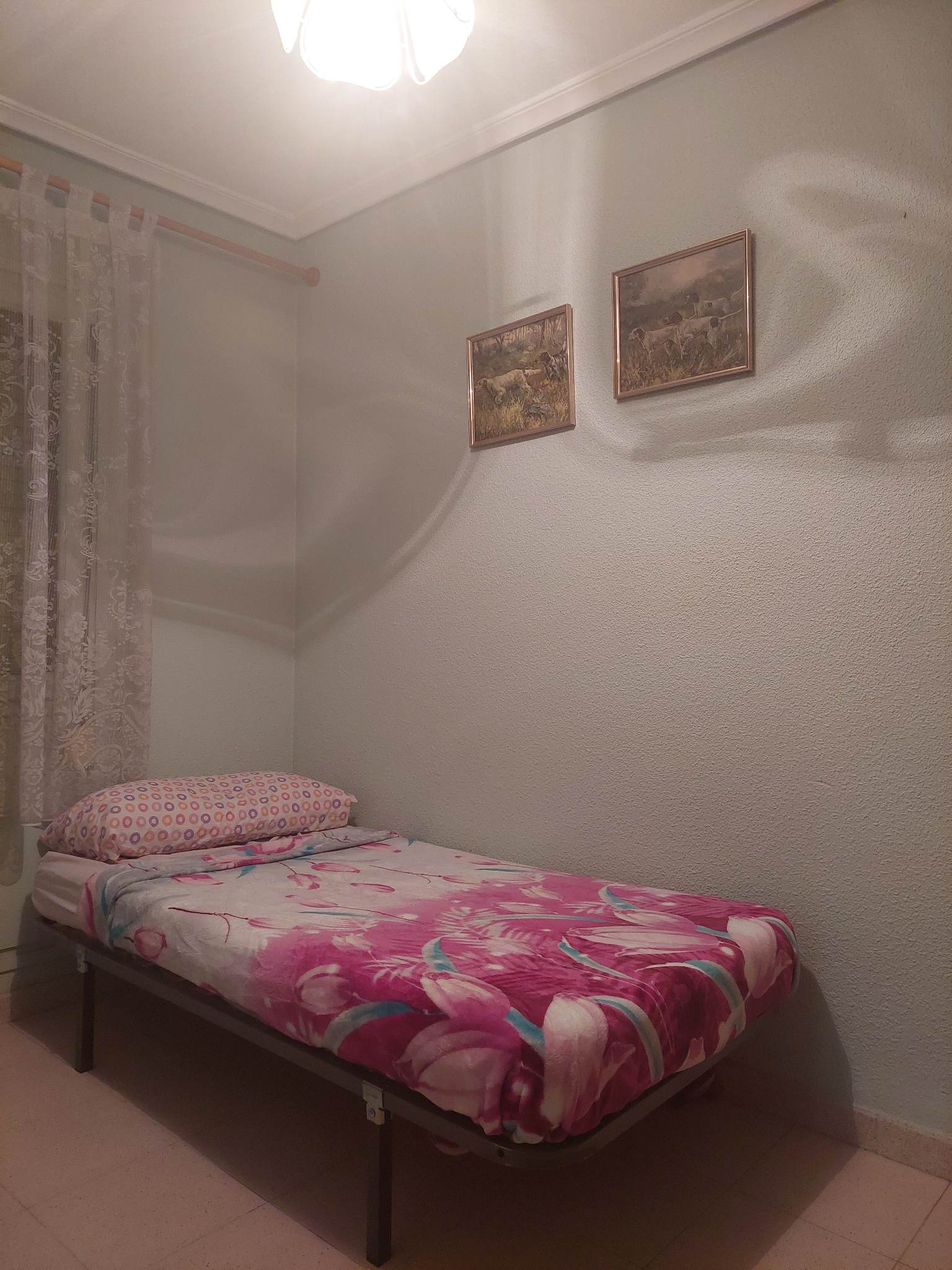 Homestay Alicante (Alacant) 263147