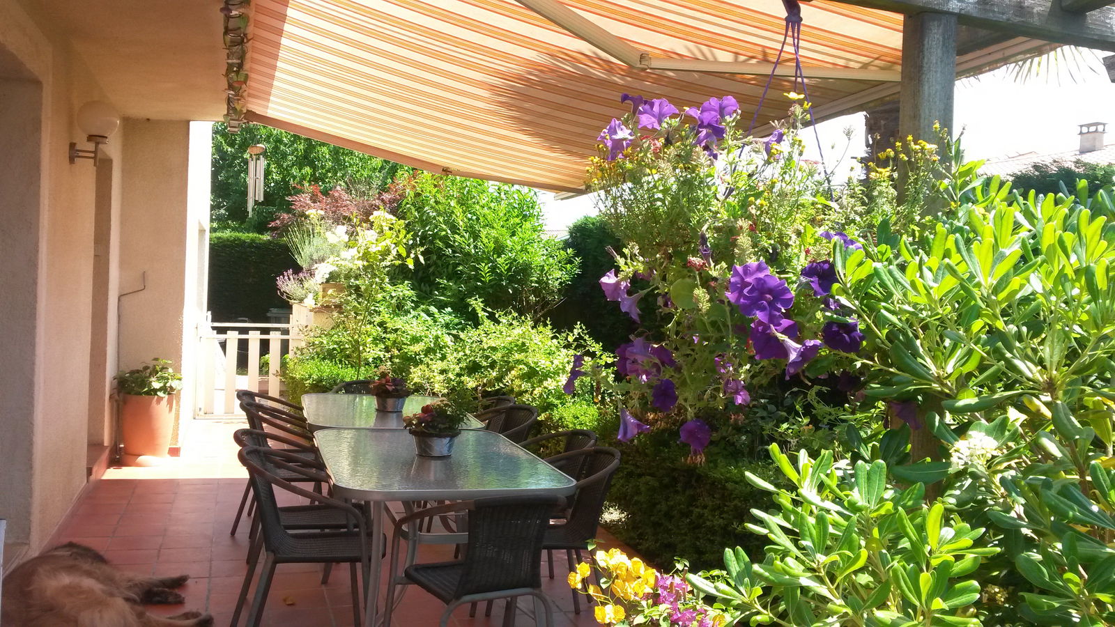 Homestay Foix 114919