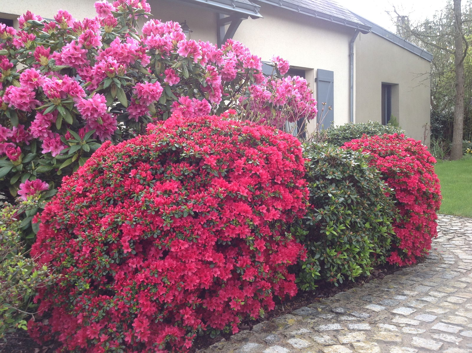 Homestay Avrillé 76391