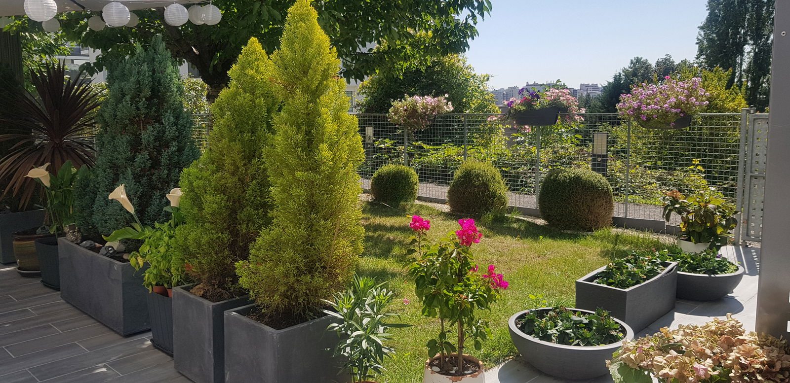 Homestay Bagneux 219342