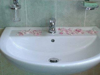 Quedarse En Casa 96012 199501-4