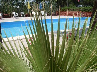 Homestay 96012 199501