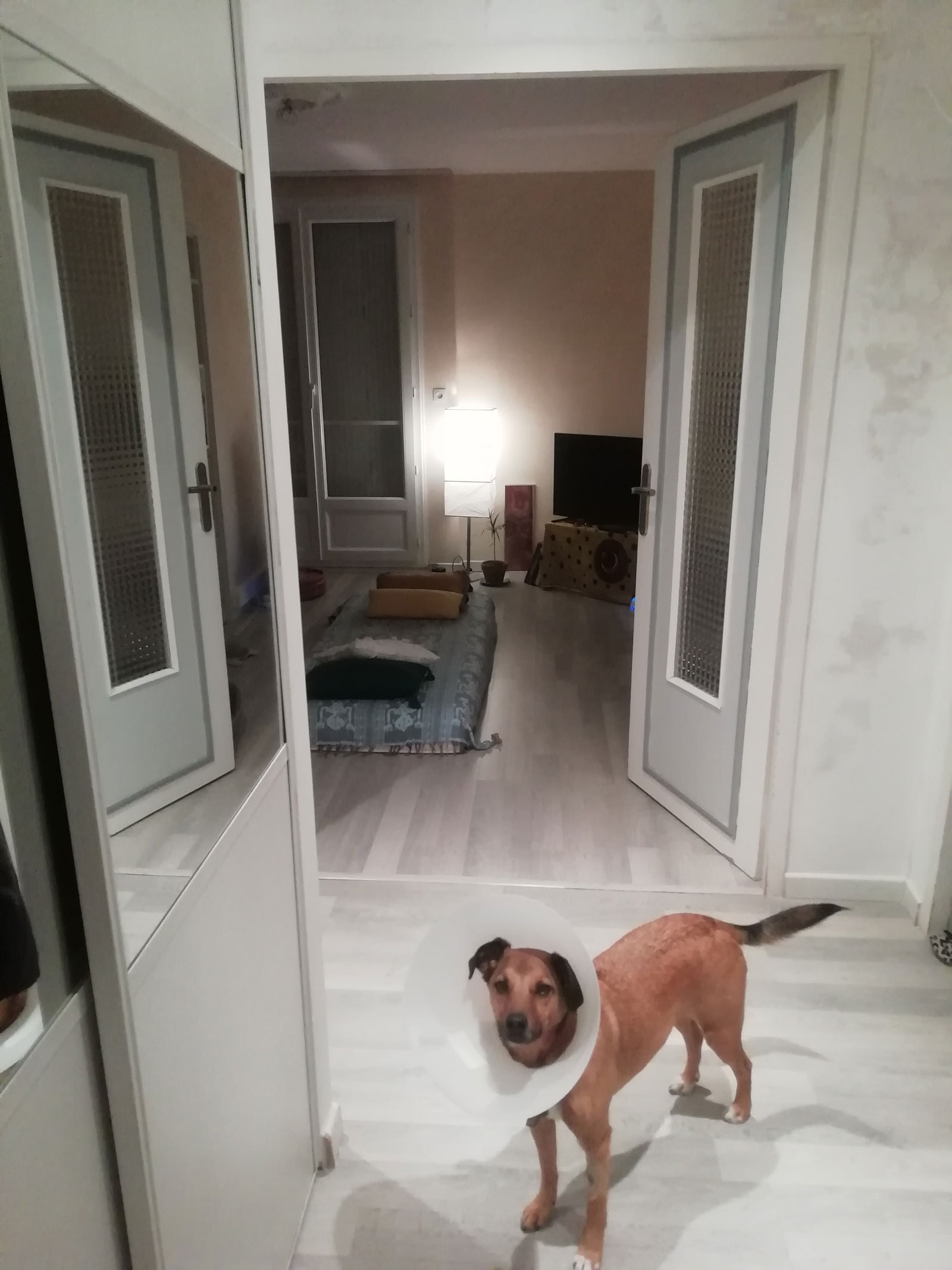 Homestay Rezé 251102