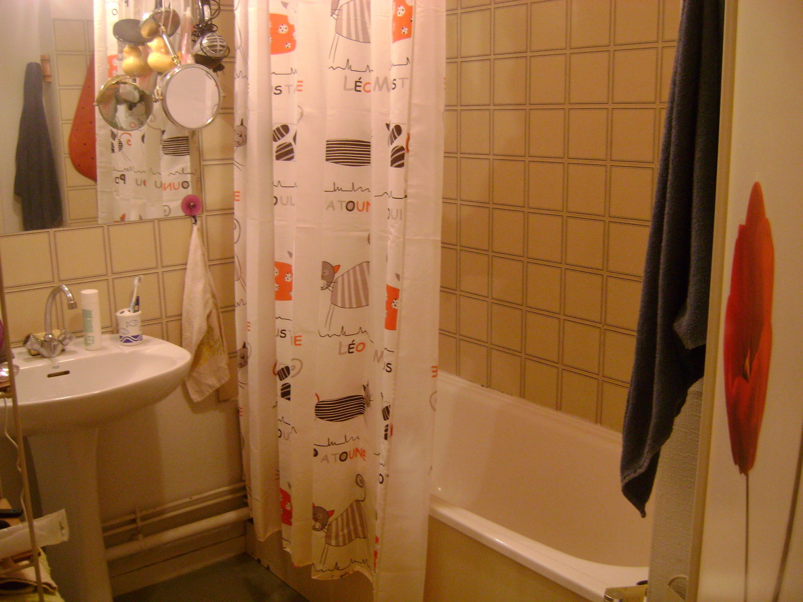 Homestay Toulouse 90218