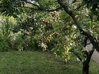 Chambre Chez L'habitant Juliénas 219586-2