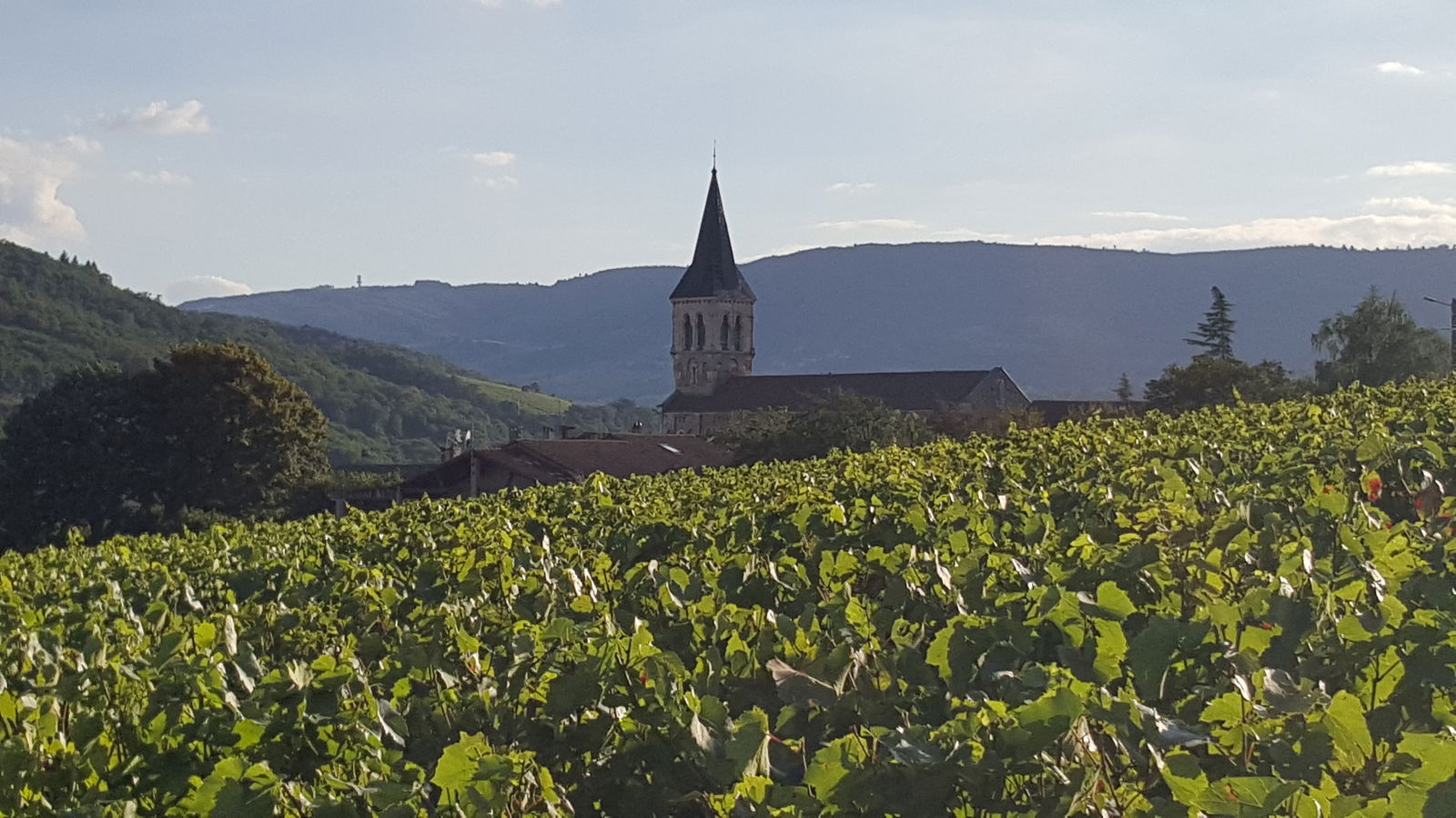 Homestay Juliénas 219586