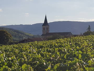 Homestay Juliénas 219586-5