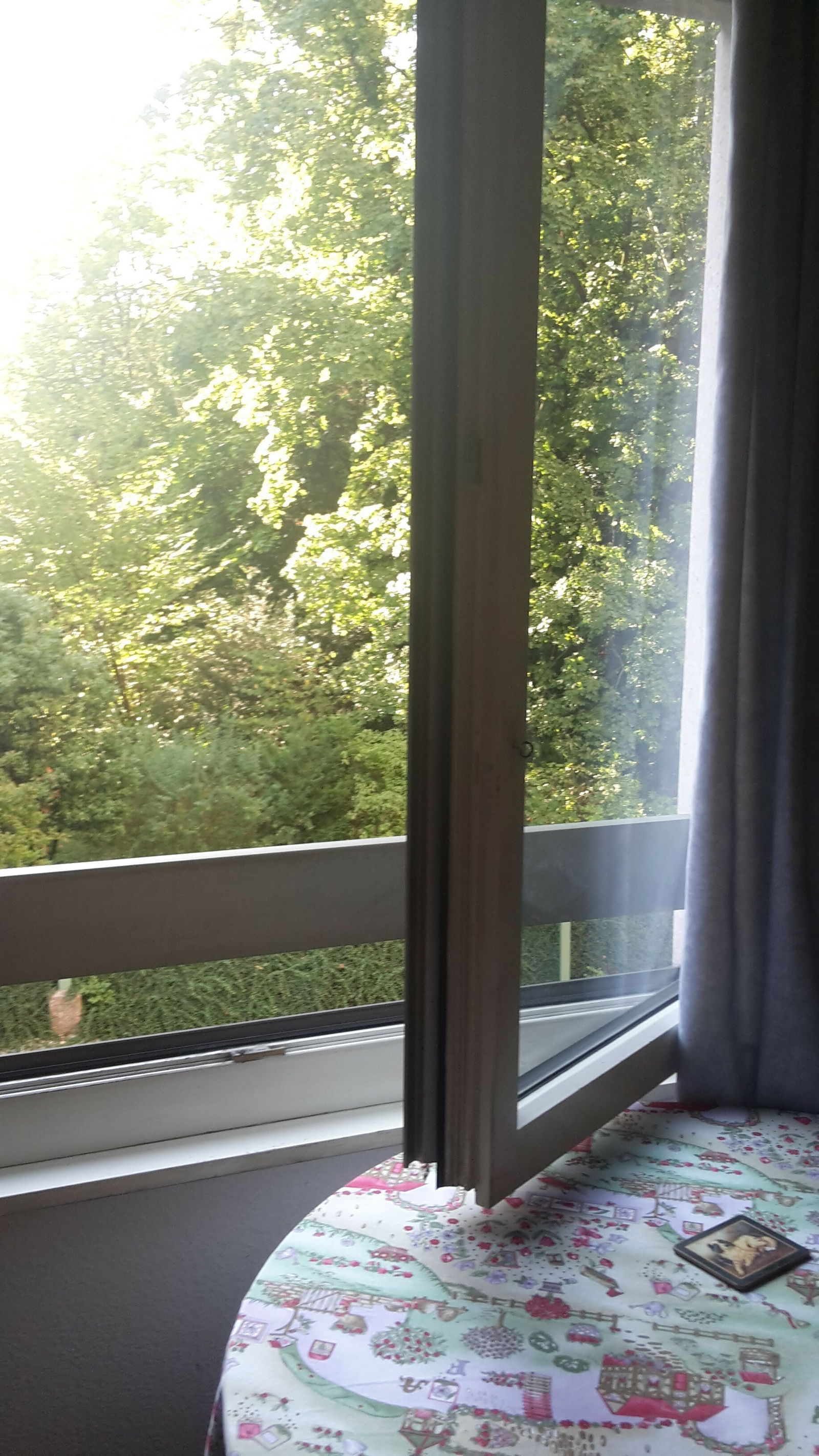 Homestay Genève 233368