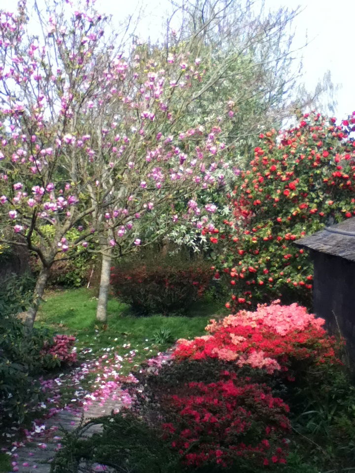 Homestay Nantes 95244