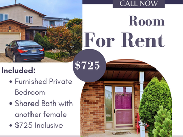 Room For Rent Hamilton 468630-1